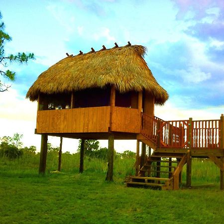 Everglades Chickee Cottage & Bungalow - Ochopee Eksteriør bilde