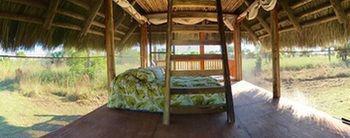 Everglades Chickee Cottage & Bungalow - Ochopee Eksteriør bilde