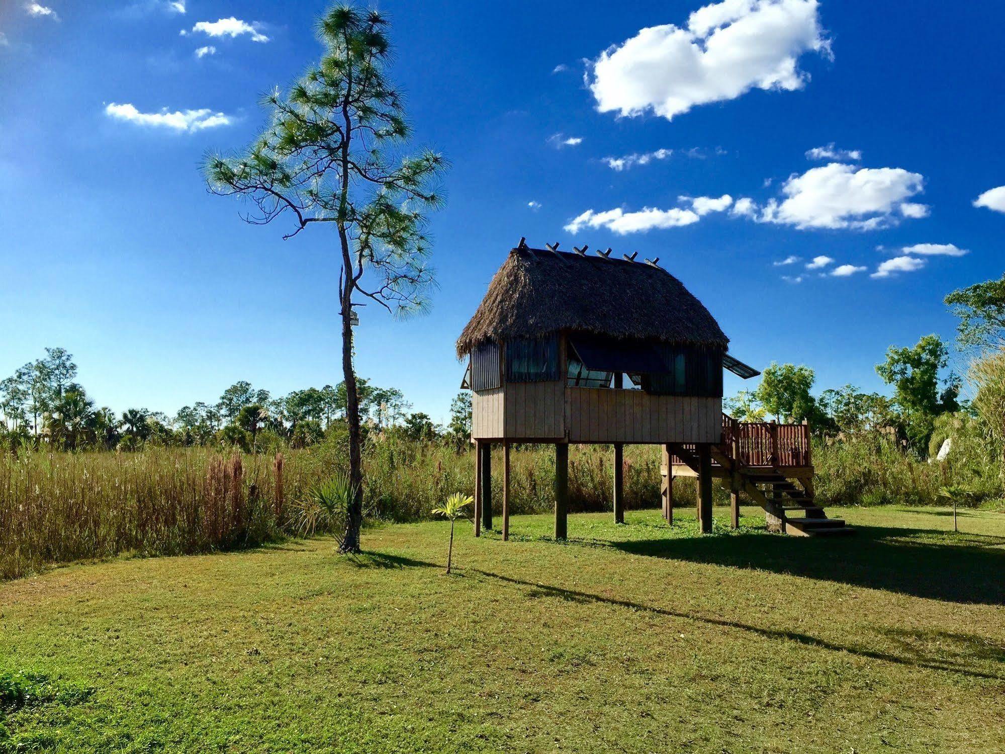 Everglades Chickee Cottage & Bungalow - Ochopee Eksteriør bilde