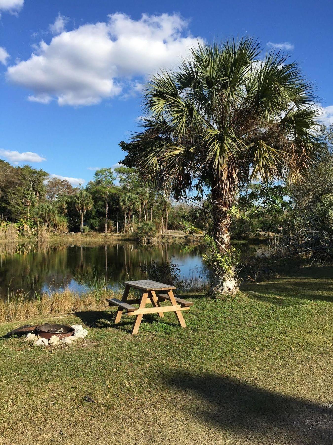 Everglades Chickee Cottage & Bungalow - Ochopee Eksteriør bilde